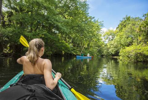 Crystal Clear Kayaking In Florida Top Sellers | dntu.edu.vn